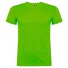 Camisetas manga corta roly beagle de 100% algodón verde flash vista 1